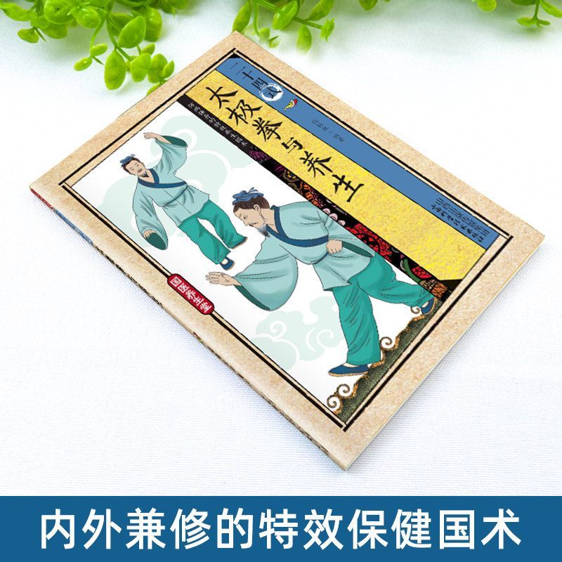 24 Style Tai Chi and Health Ex - Health & Wellness Gordon Edlin review and price