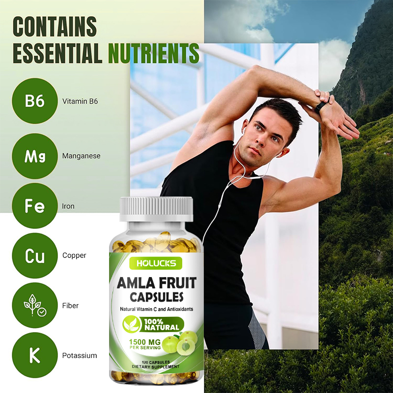 HOLUCKS Amla Fruit Extract Cap - Health Wellness Day review and price