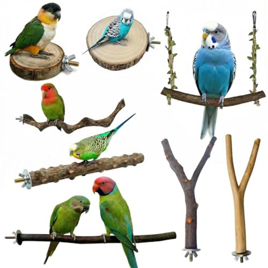 8PCS natural wood bird perches - Health & Wellness Nurse Coach review and price